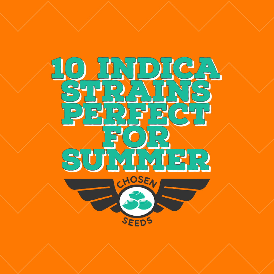 An image for a '10 Indica Strains Perfect For Summer' blog list