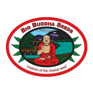 Big Buddha Seeds