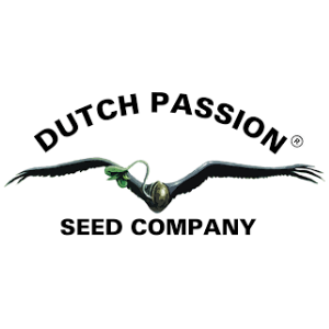 Dutch Passion